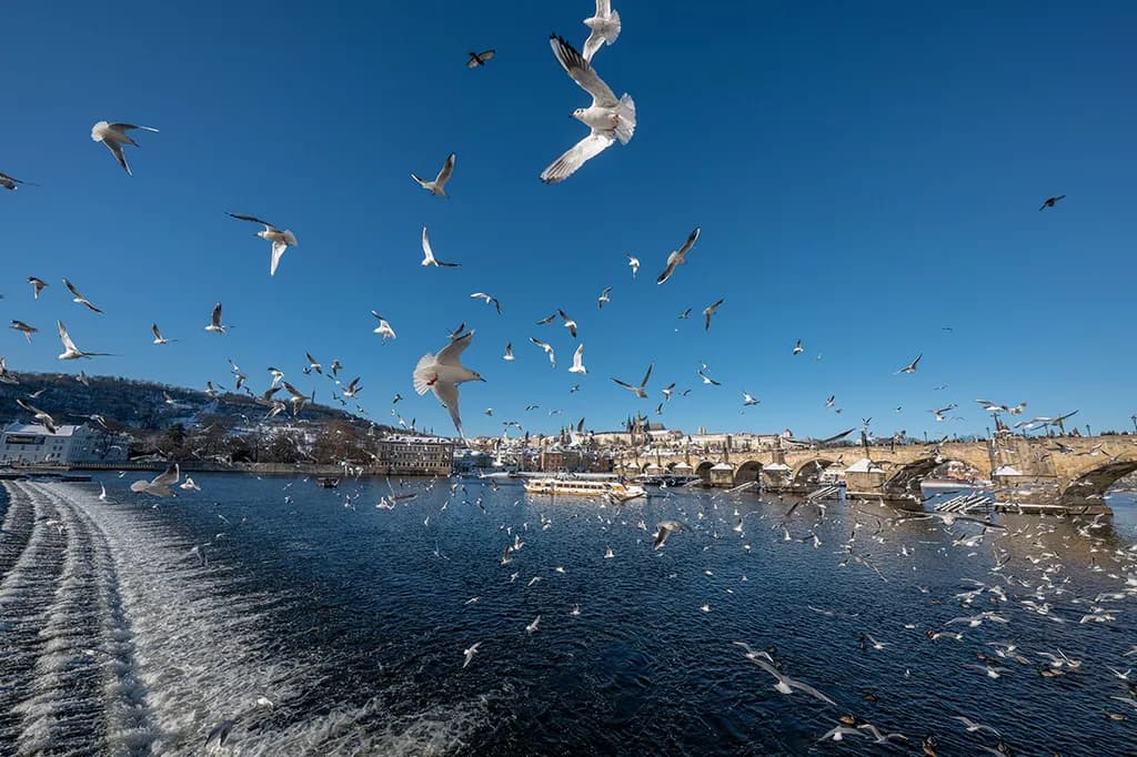 TAMRON 12-20mm F2.8 (A084)