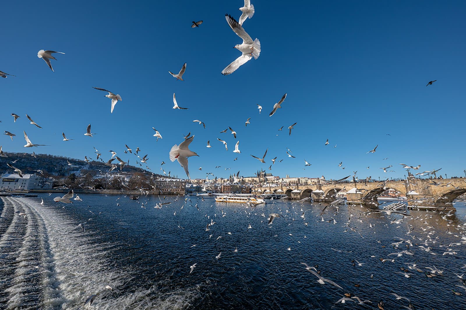 TAMRON 12-20mm F2.8 (A084)