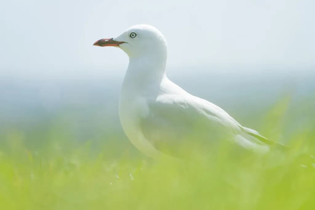 28-300mm F/4-7.1 Di III VC VXD — 6