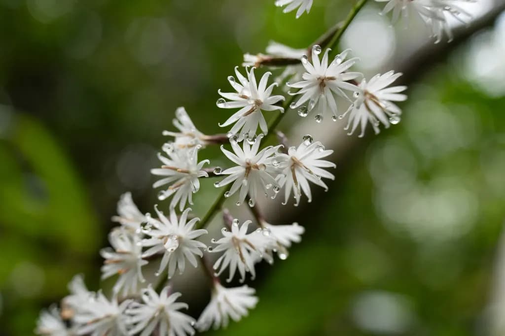 50-300mm F/4.5-6.3 Di III VC VXD — 2