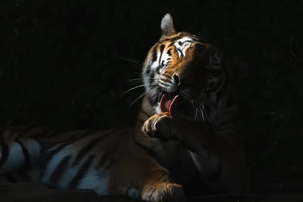 50-400mm F/4.5-6.3 Di III VC VXD — 3