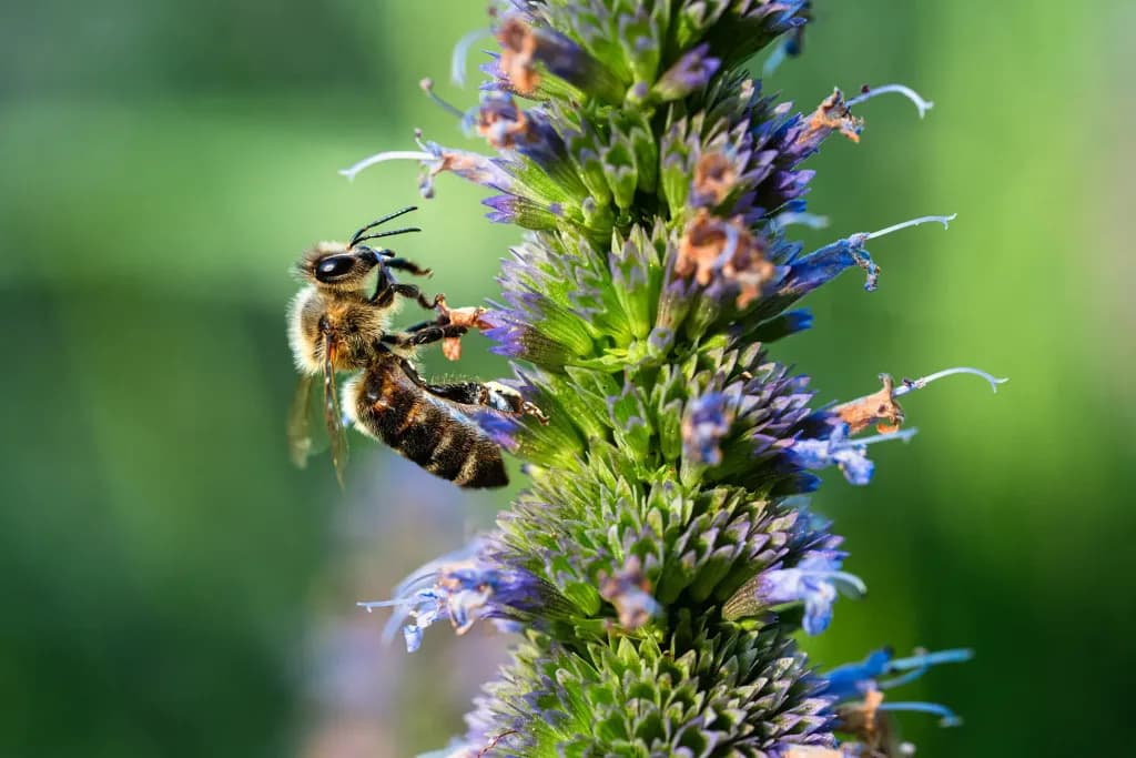 90mm F/2.8 Di III Macro VXD — 8